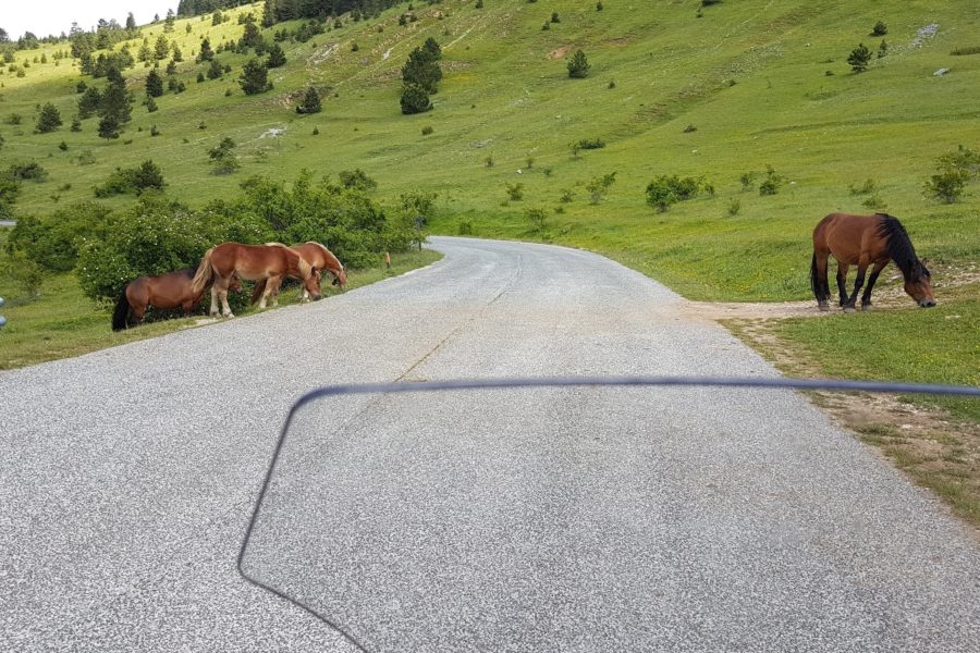 Foto Gita Gransasso 2018