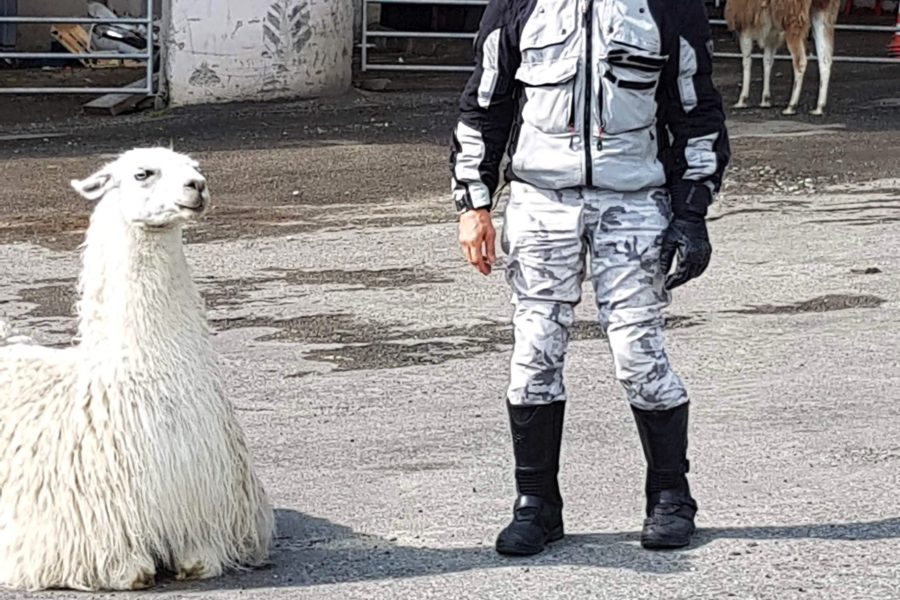 Foto Gita Pirenei 2018