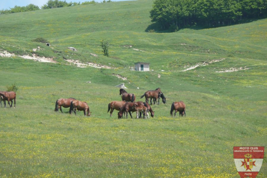 Foto Gita Monte Nerone 2012