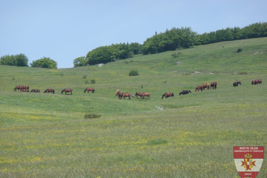 Foto Gita Monte Nerone 2012